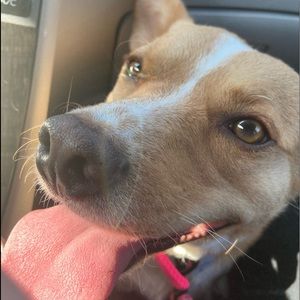 Meet your Posher, Emma